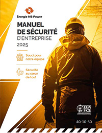 Manuel de sécurité de l'entreprise 2025